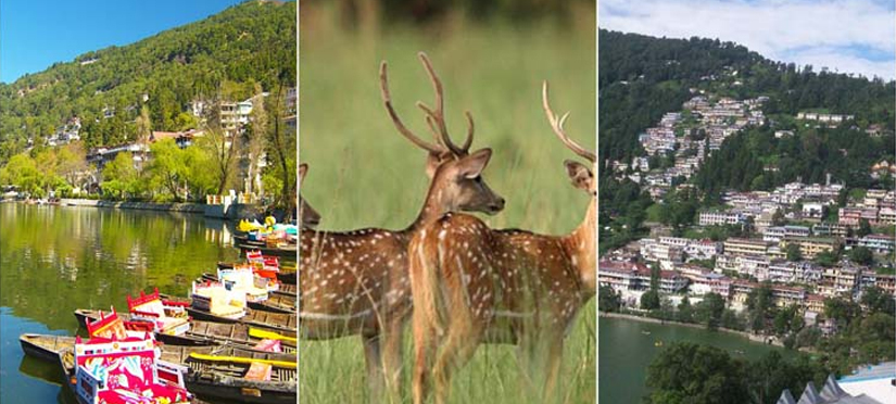 nainital ranikhet kausani corbett tour package